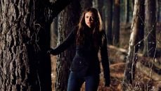 Дневники вампира 1 сезон 17 серия